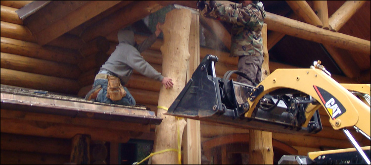Log Home Log Replacement  Accomack County, Virginia