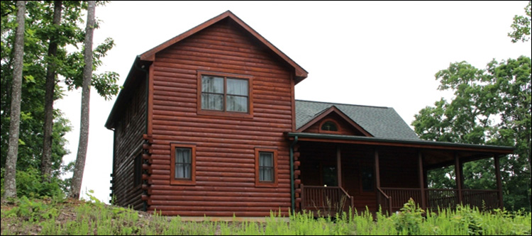 Professional Log Home Borate Application  Greenbush, Virginia