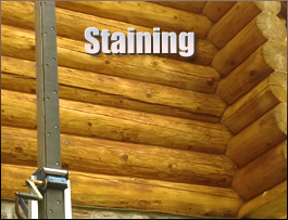  Accomack County, Virginia Log Home Staining